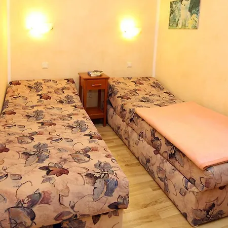 Wiking Hall Apartment